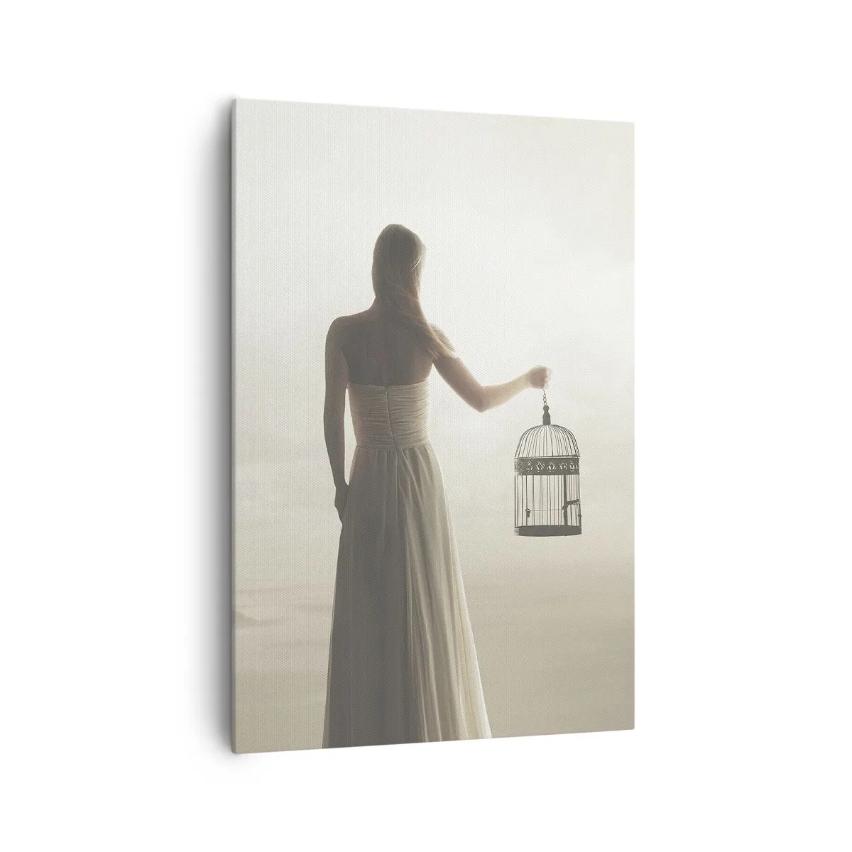Quadro su tela - Stampe su Tela - Una donna con una gabbia contro un cielo calmo - 70x100cm - Sii libera - Decorazione murale moderna per soggiorno e camera da letto ARTTOR
