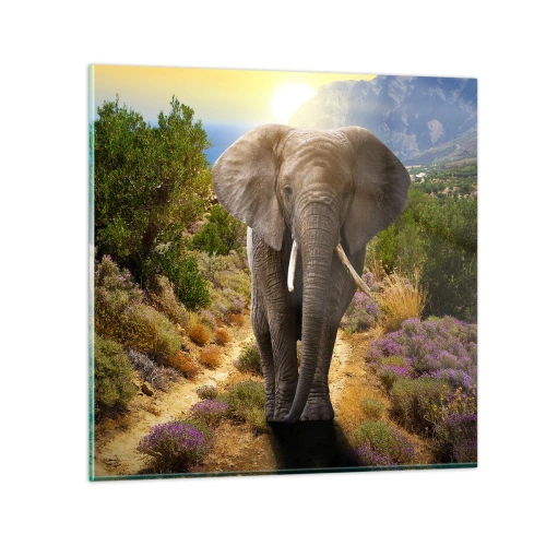 Quadro su vetro - Così era il paradiso - 50x50 cm