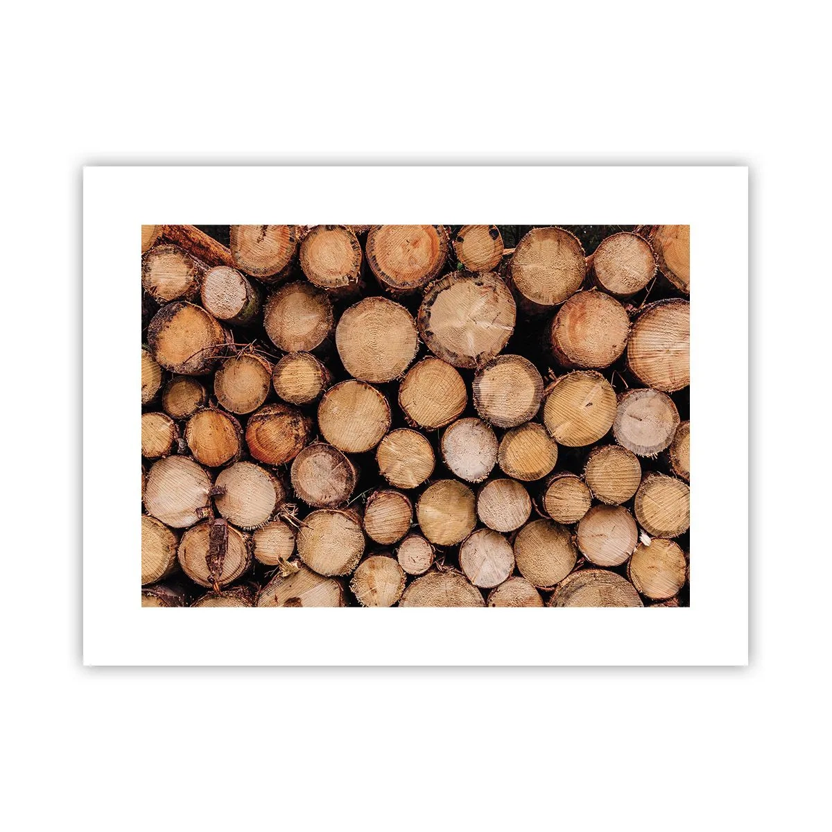 Poster - Nuovo inizio - 40x30 cm