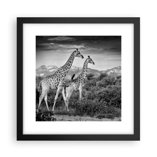 Poster in cornice nera - Alta classe in Africa - 30x30 cm