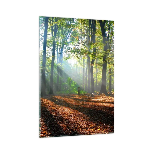 Quadro su vetro - Una radura della foresta illuminata dai raggi del sole - 80x120cm - Luci e ombre - Decorazione murale moderna per soggiorno e camera da letto ARTTOR