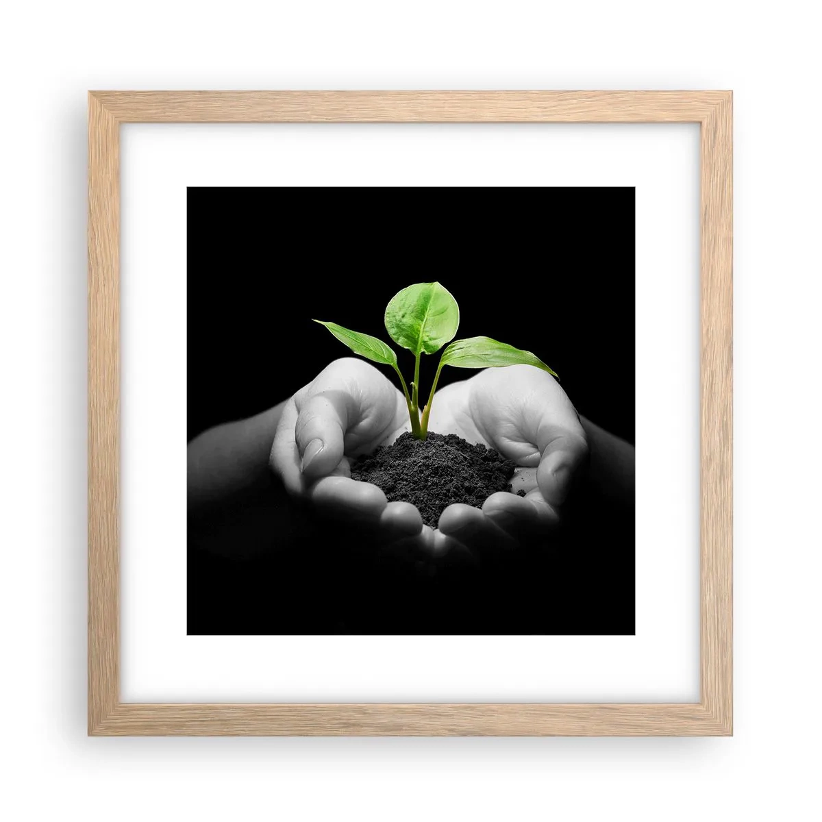 Poster in cornice rovere chiaro - Amo la natura, la proteggo - 30x30 cm