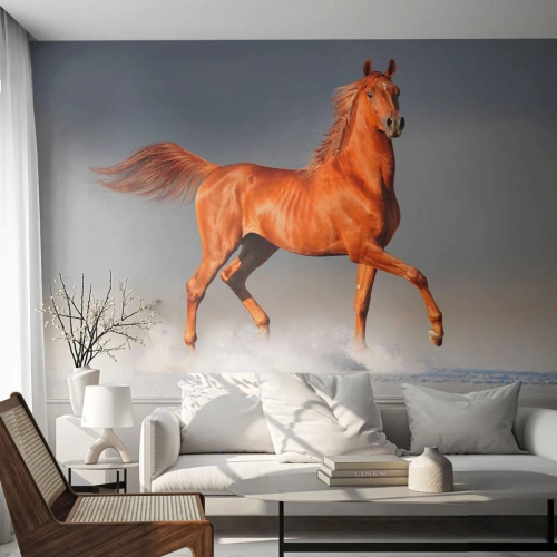 Fotomurali Standard Eco - Un cavallo sauro al galoppo contro un paesaggio invernale - 100x70cm - Grazia danzante - Decorazione murale moderna per soggiorno e camera da letto ARTTOR