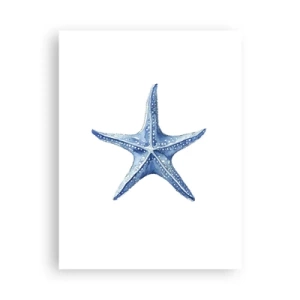 Poster - Stella marina - 30x40 cm