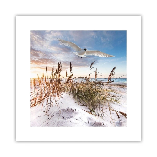 Poster - Vento dal mare - 30x30 cm