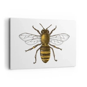 Quadro su tela - Stampe su Tela - Illustrazione dettagliata di un'ape su sfondo bianco - 100x70cm - Bella e buona - Decorazione murale moderna per soggiorno e camera da letto ARTTOR