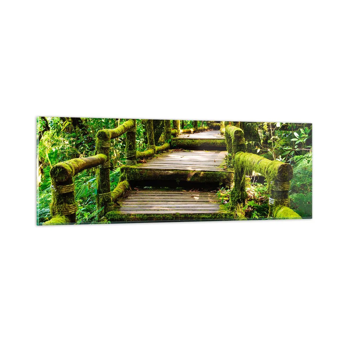 Quadro su vetro - Un corridoio nel verde - 90x30 cm