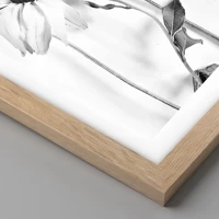 Rovere chiaro