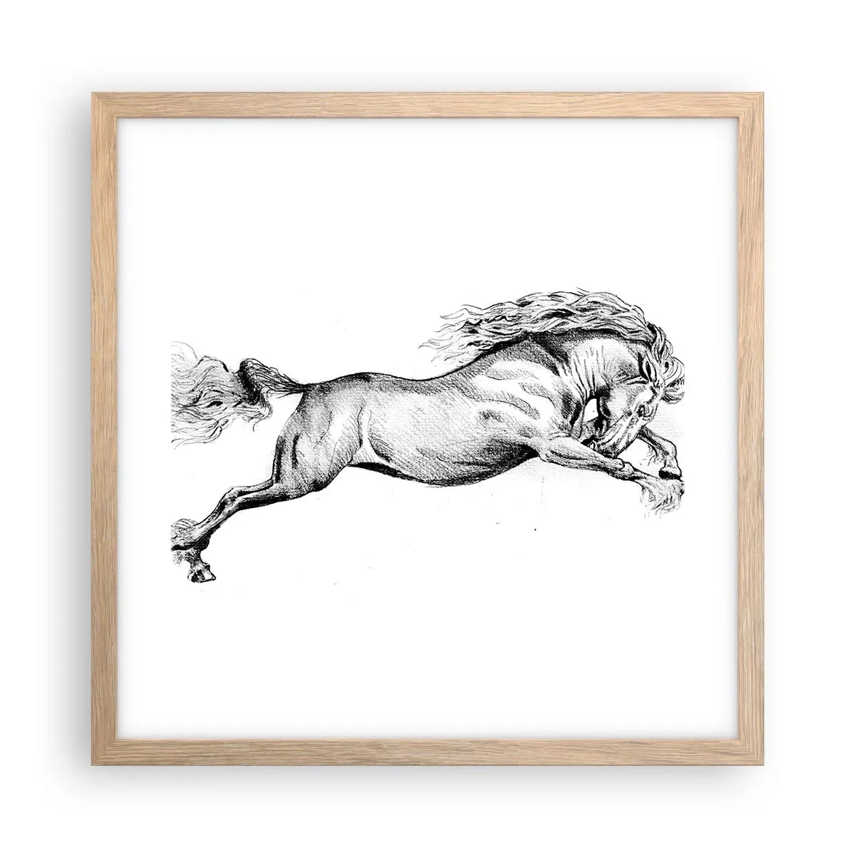 Poster in cornice rovere chiaro - Fermo al galoppo - 40x40 cm