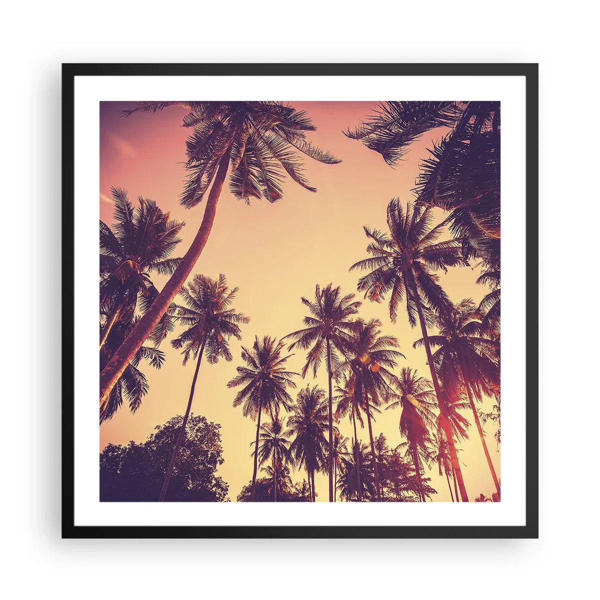 Poster in cornice nera - Composizione tropicale - 60x60 cm