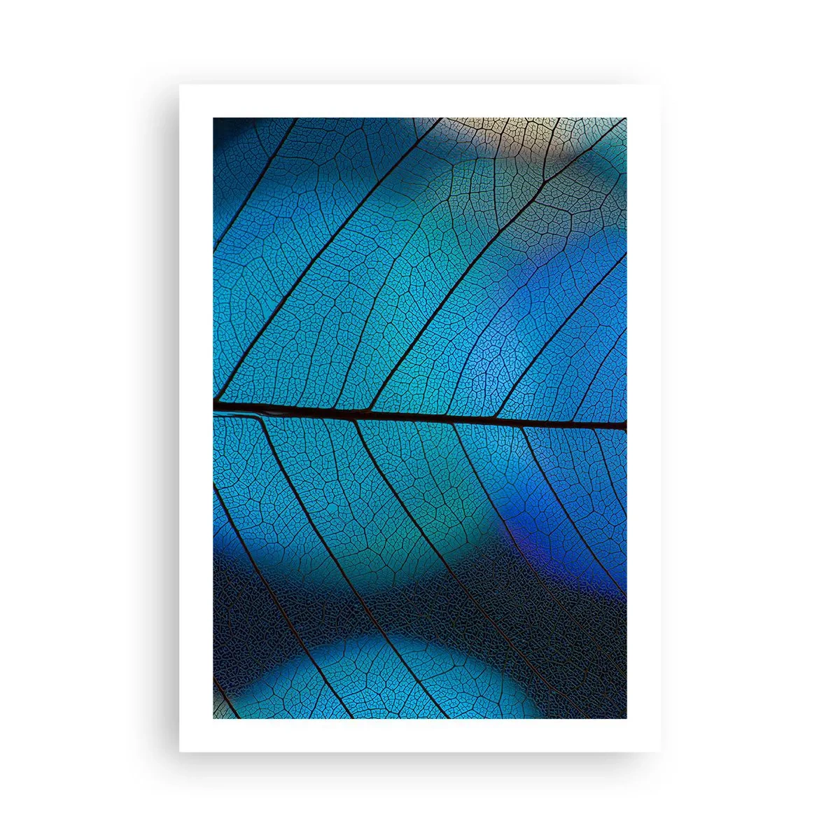 Poster - Primo piano di una foglia blu con venature evidenti - 50x70cm - Struttura intricata - Decorazione murale moderna per soggiorno e camera da letto ARTTOR
