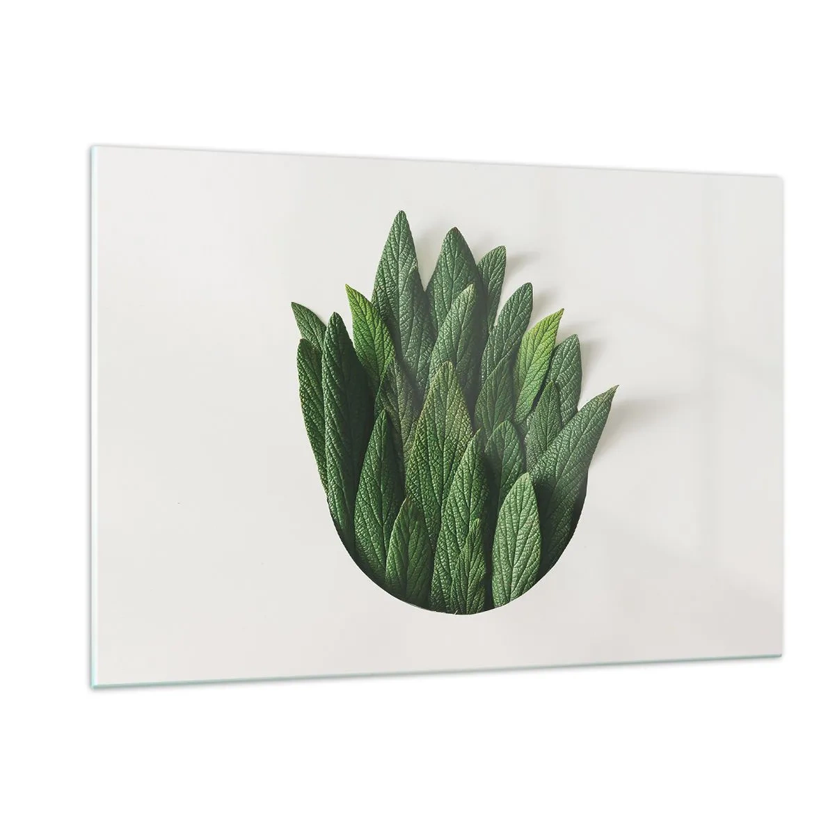 Quadro su vetro - Foglie verdi disposte a forma di vaso su sfondo bianco - 120x80cm - Curiosità irrefrenabile - Decorazione murale moderna per soggiorno e camera da letto ARTTOR