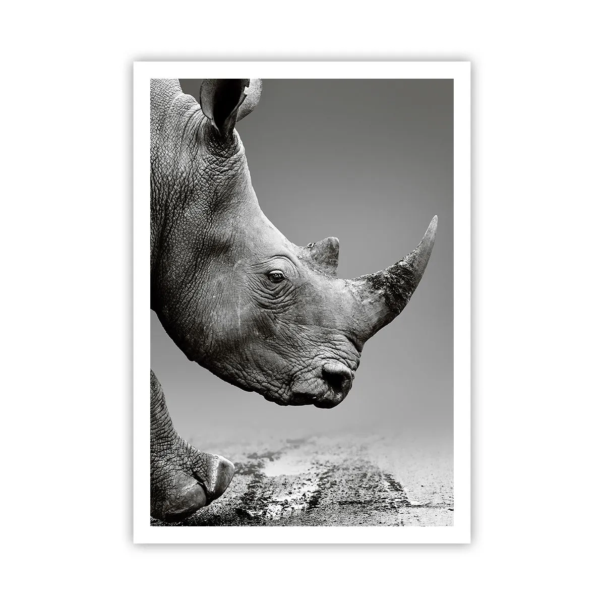 Poster - Forza irrefrenabile - 70x100 cm