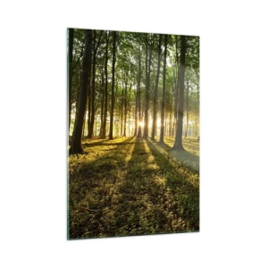 Quadro su vetro - Una radura della foresta illuminata dai raggi del sole nascente - 50x70cm - La foto di ogni primavera - Decorazione murale moderna per soggiorno e camera da letto ARTTOR