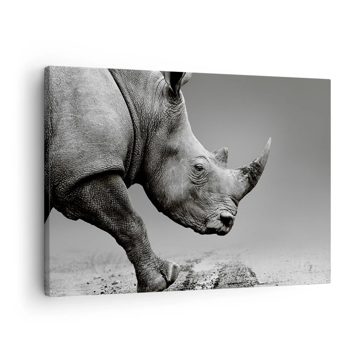 Quadro su tela - Stampe su Tela - Ritratto di un rinoceronte sullo sfondo di un deserto grigio - 70x50cm - Forza irrefrenabile - Decorazione murale moderna per soggiorno e camera da letto ARTTOR
