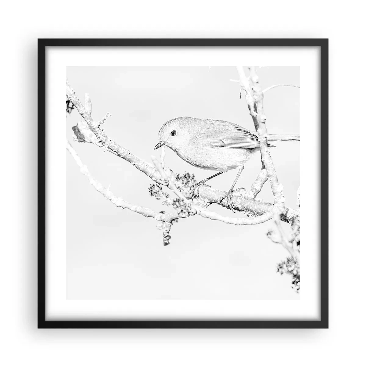 Poster in cornice nera - Mattino invernale - 50x50 cm