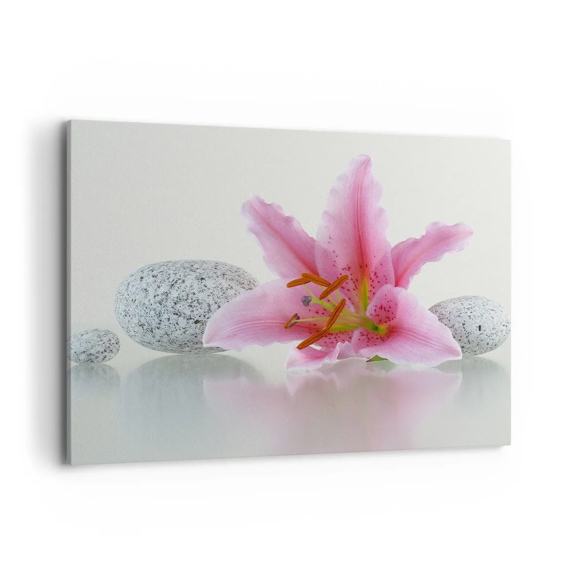 Quadro su tela - Stampe su Tela - Fiore di giglio rosa con pietre su sfondo chiaro - 100x70cm - Studio in rosa, grigio e bianco - Decorazione murale moderna per soggiorno e camera da letto ARTTOR
