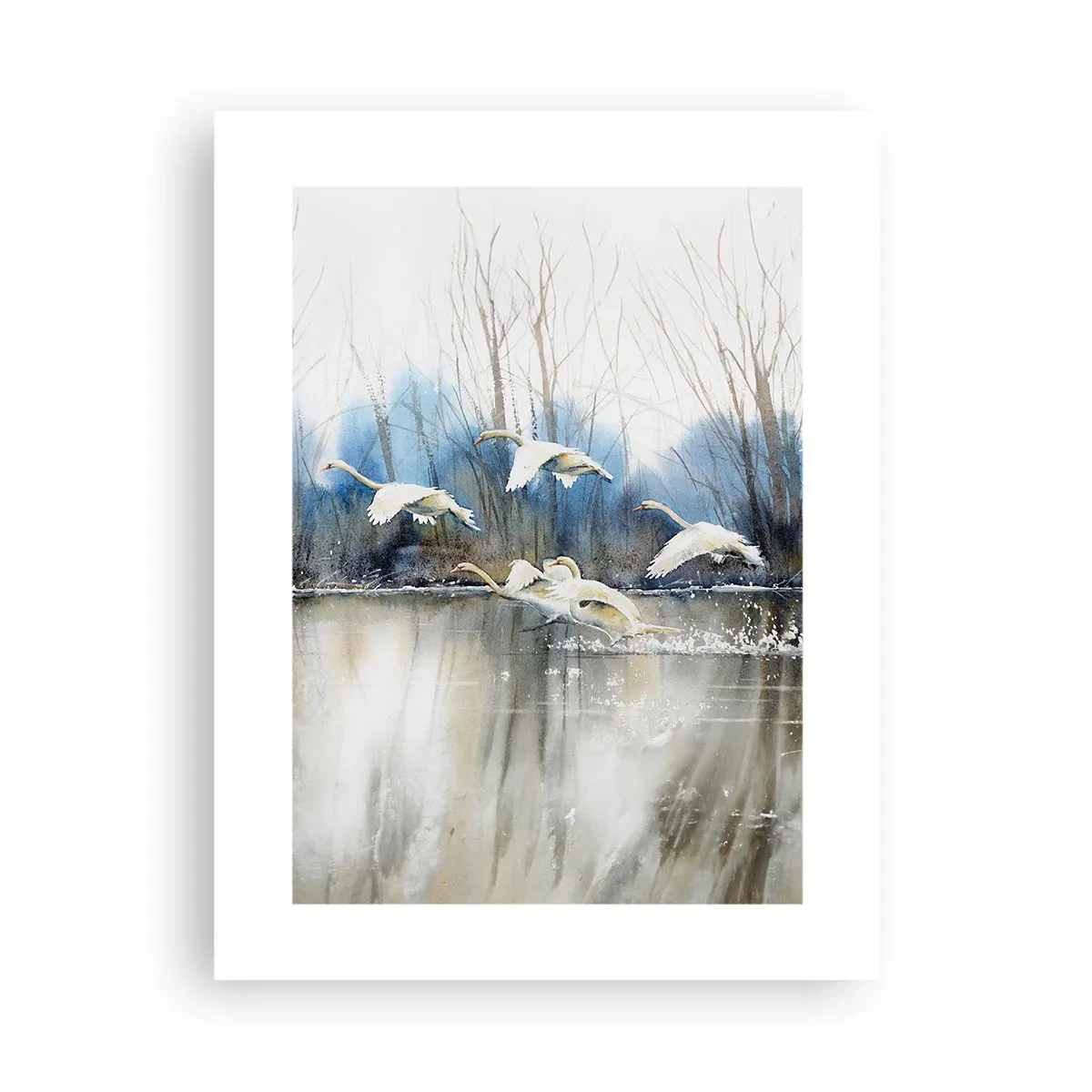 Poster - Come la favola dei cigni selvatici - 30x40 cm