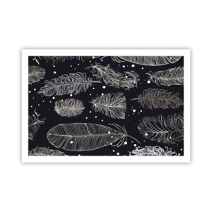 Poster - Pizzo piumato - 91x61 cm