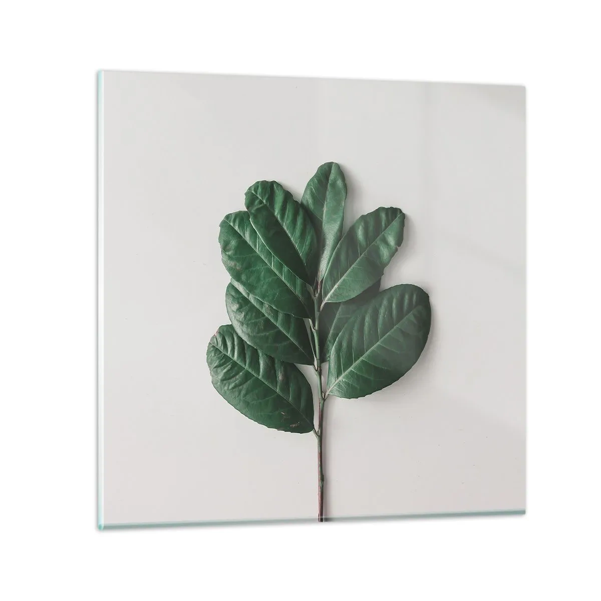 Quadro su vetro - Il disegno della natura stessa - 50x50 cm