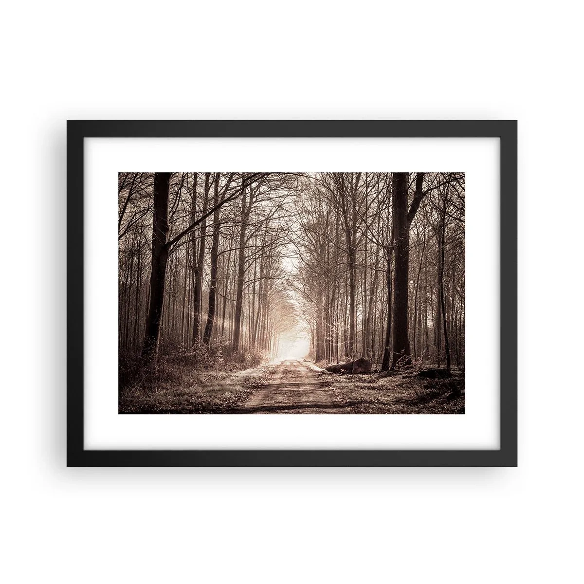 Poster in cornice nera - La cattedrale del bosco - 40x30 cm