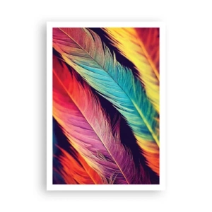 Poster - Arcobaleno piumato - 70x100 cm