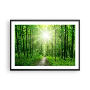 Poster in cornice nera - Sentiero nel bosco con raggi di sole - 70x50cm - Cattedrale verde - Decorazione murale moderna per soggiorno e camera da letto ARTTOR