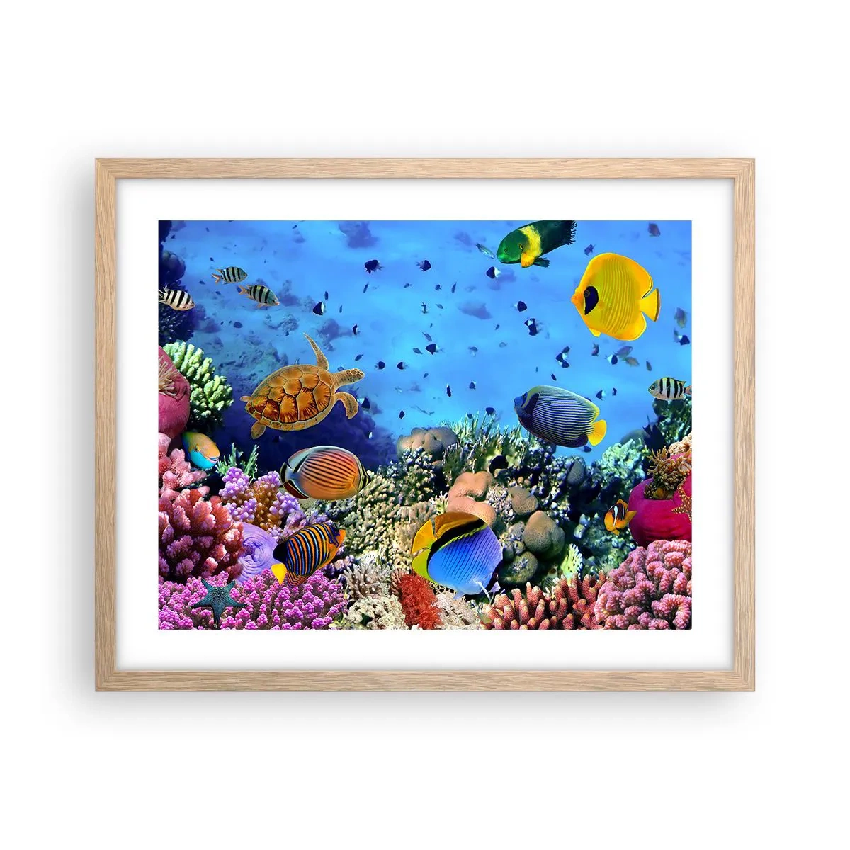 Poster in cornice rovere chiaro - Ma cosa sappiamo della vita... - 50x40 cm