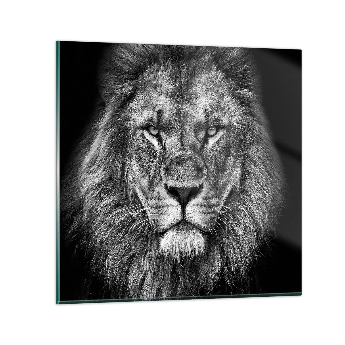 Quadro su vetro - Nell'abito dell'incoronazione - 40x40 cm