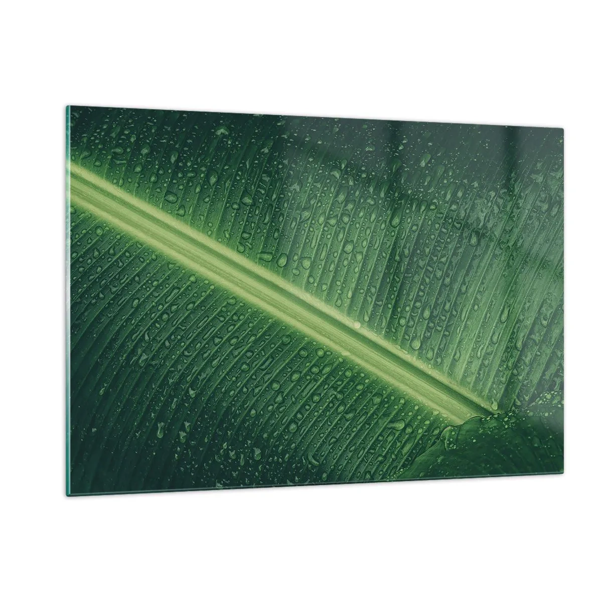 Quadro su vetro - Primo piano di una foglia verde con gocce d'acqua - 120x80cm - La struttura del verde - Decorazione murale moderna per soggiorno e camera da letto ARTTOR