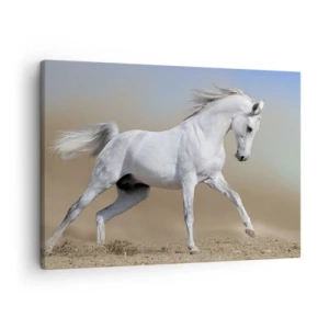 Quadro su tela - Stampe su Tela - Un cavallo bianco che galoppa attraverso un paesaggio desertico - 70x50cm - La più bella favola araba - Decorazione murale moderna per soggiorno e camera da letto ARTTOR