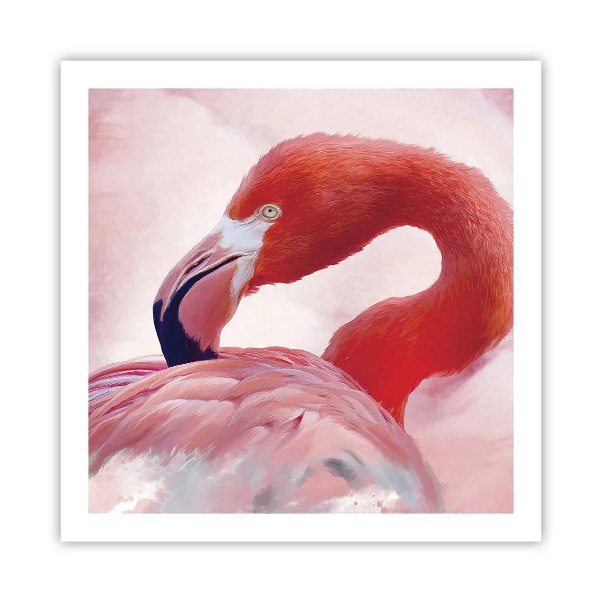 Poster - Bellezza alata - 60x60 cm