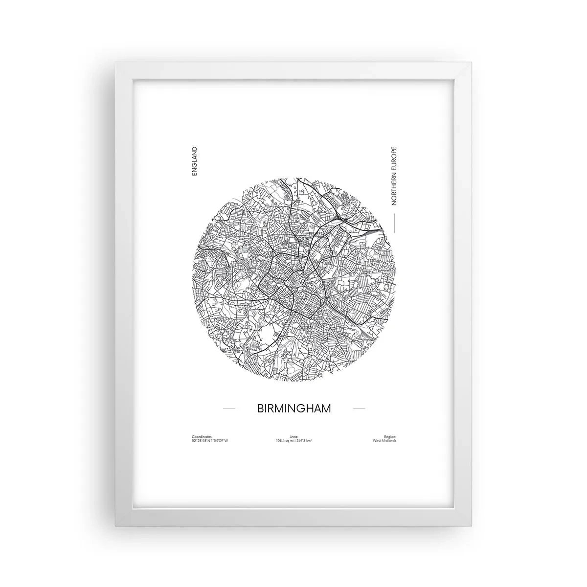 Poster in cornice bianca - Anatomia di Birmingham - 30x40 cm