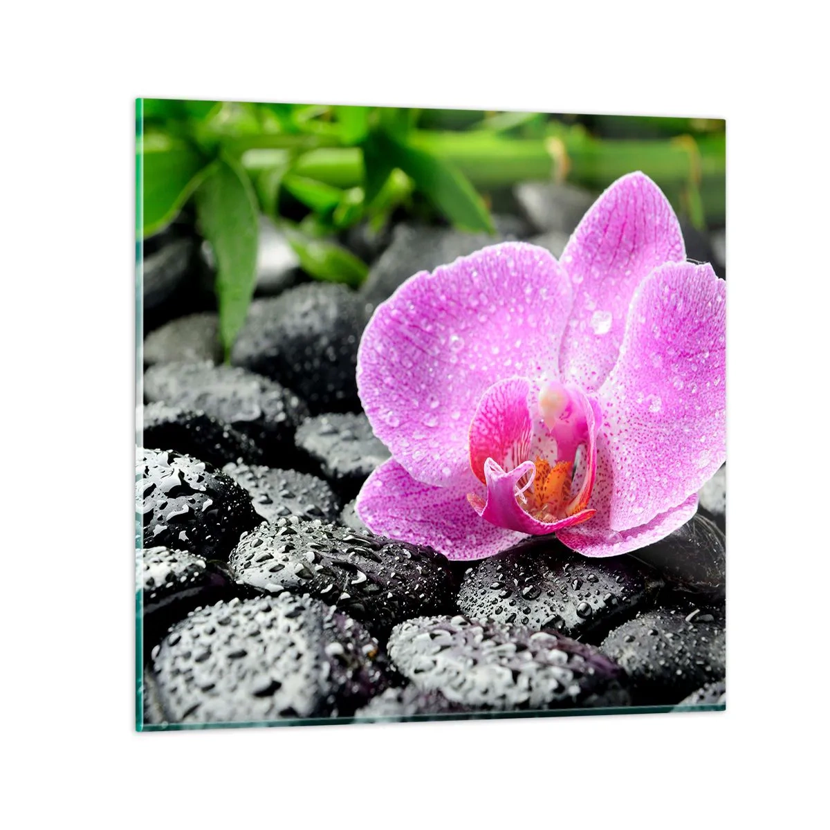 Quadro su vetro - Come un cuore aperto - 40x40 cm