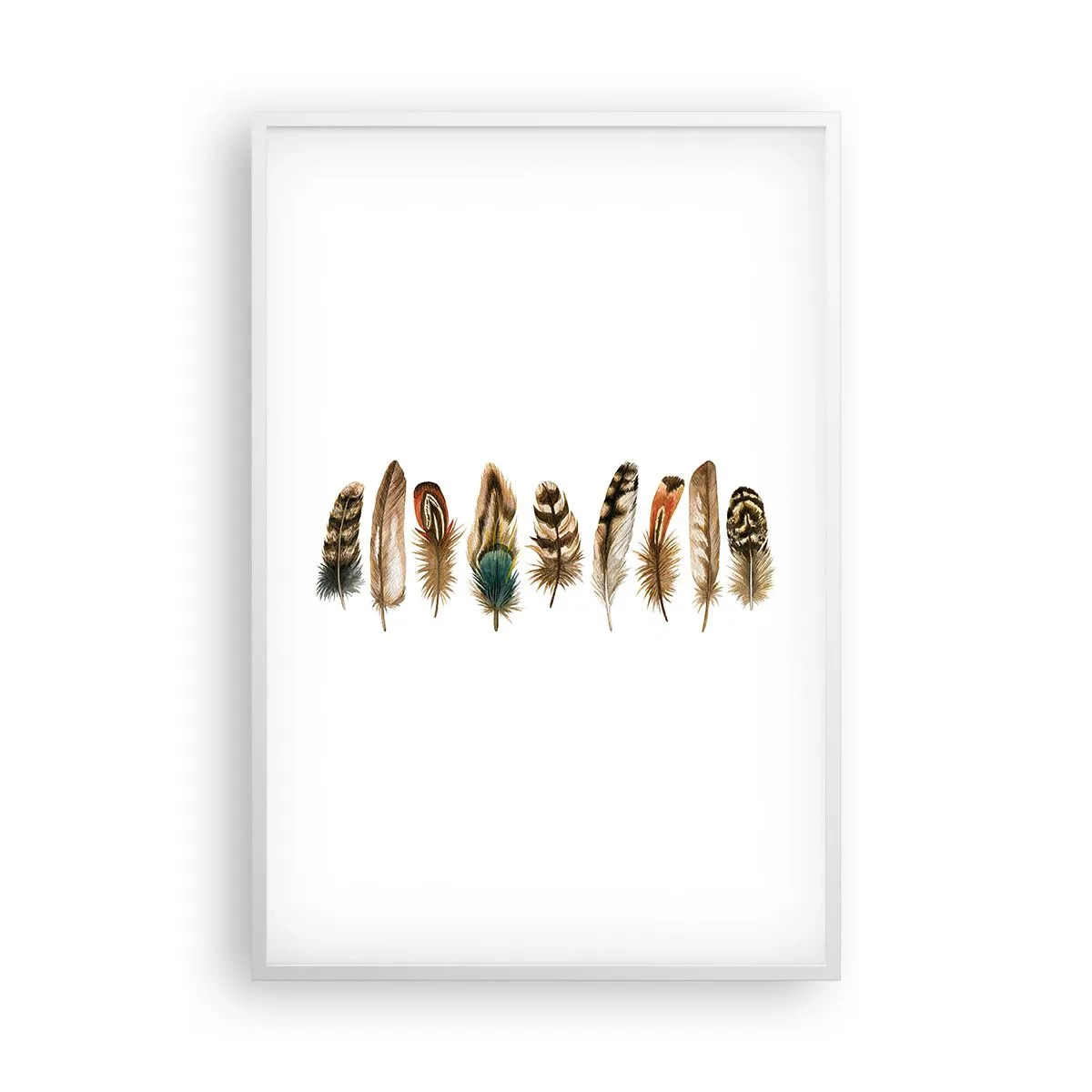 Poster in cornice bianca - Composizione di piume - 61x91 cm