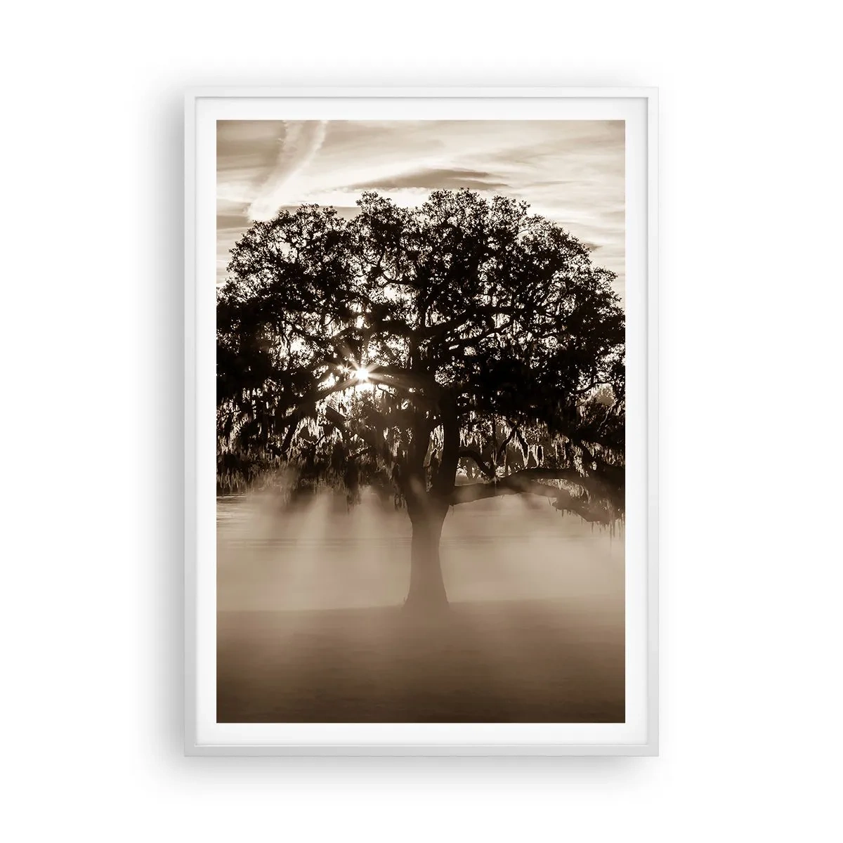 Poster in cornice bianca - L'albero delle sole buone notizie - 70x100 cm