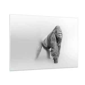 Quadro su vetro - Ritratto in bianco e nero di un maestoso gorilla su sfondo bianco - 100x70cm - Sicuro della propria forza - Decorazione murale moderna per soggiorno e camera da letto ARTTOR