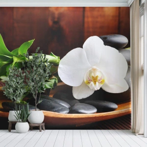 Fotomurale su misura Premium Canvas - Lasciati toccare dalla natura - Fiori, Orchidea, Orchidea