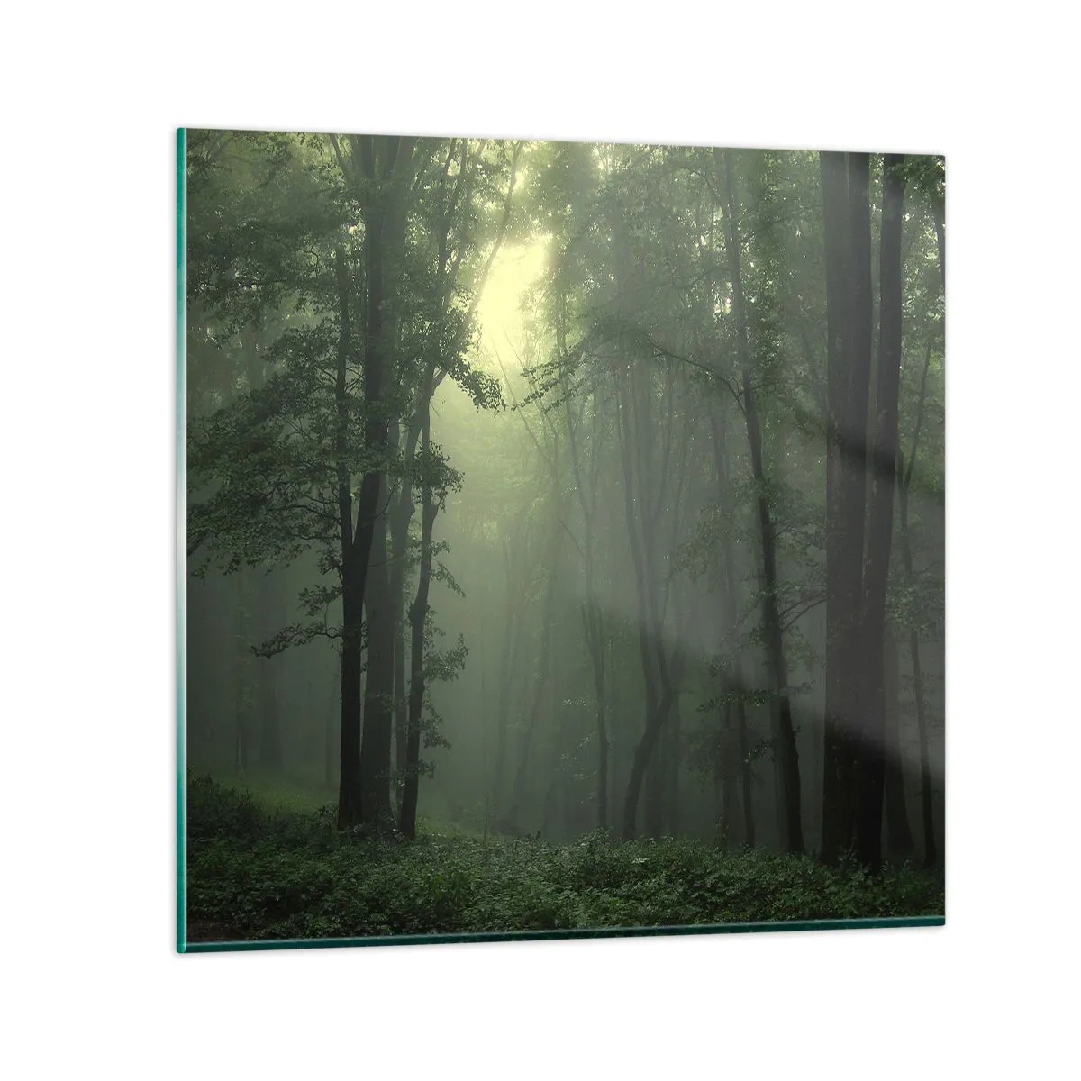 Quadro su vetro - Prima che si svegli - 70x70 cm