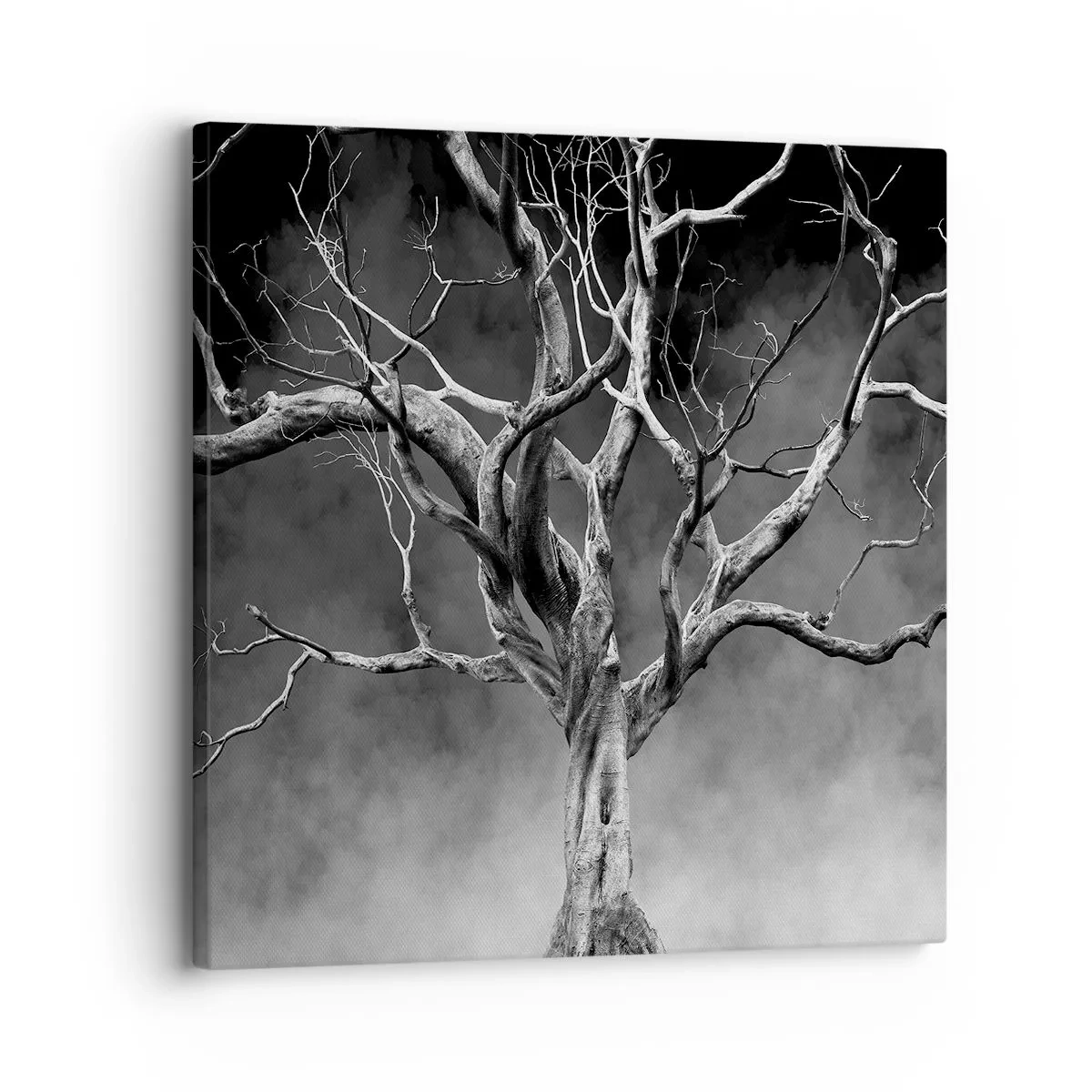 Quadro su tela - Stampe su Tela - Primordiale e sacro - 30x30 cm