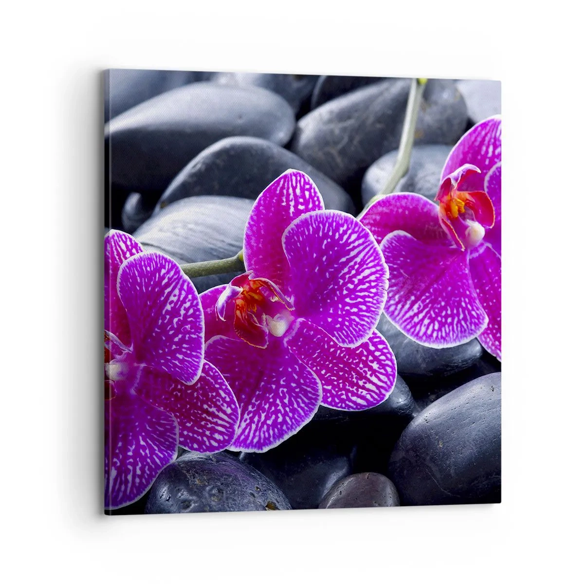 Quadro su tela - Stampe su Tela - Le pietre brillano di ammirazione - 70x70 cm