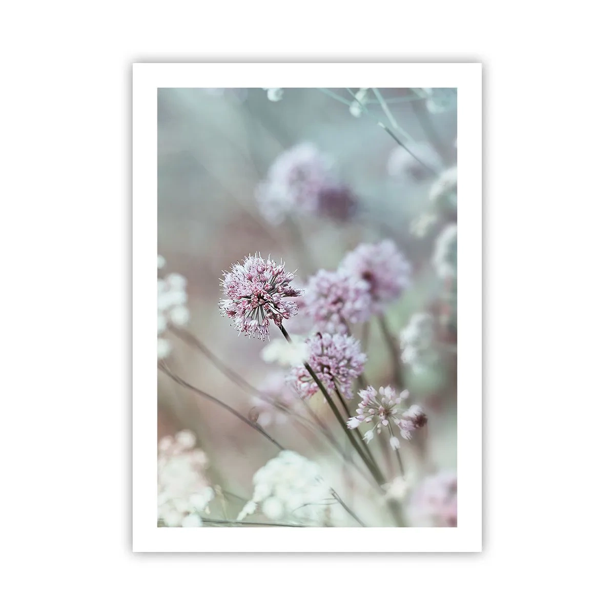 Poster - Fiori delicati in colori pastello - 50x70cm - Le dolci filigrane delle erbe - Decorazione murale moderna per soggiorno e camera da letto ARTTOR