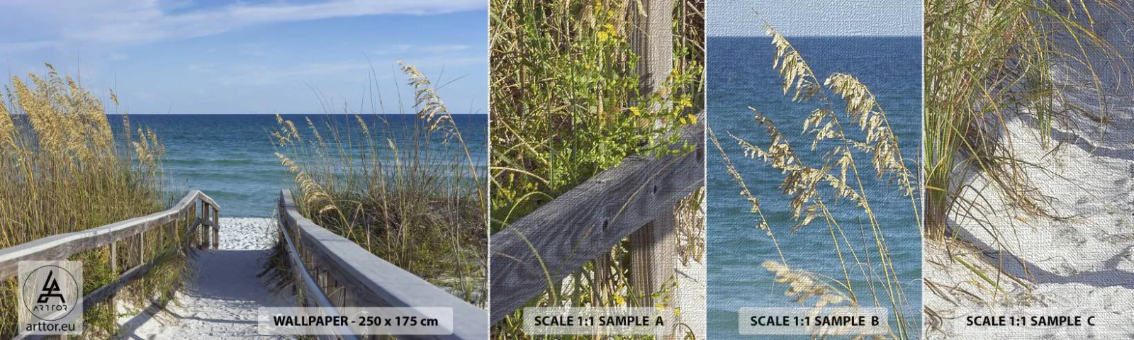 Campione di Fotomurale Premium Canvas - Al sole, al vento - Paesaggio, Duna marina, Mare - 100x30 cm