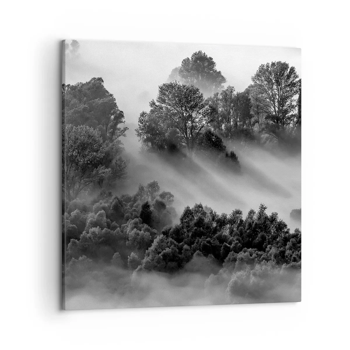 Quadro su tela - Stampe su Tela - Risveglio dal sonno - 50x50 cm