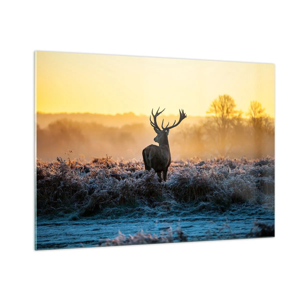 Quadro su vetro - Cervi in una mattina gelida con l'alba sullo sfondo - 100x70cm - Incoronato nelle sue terre - Decorazione murale moderna per soggiorno e camera da letto ARTTOR