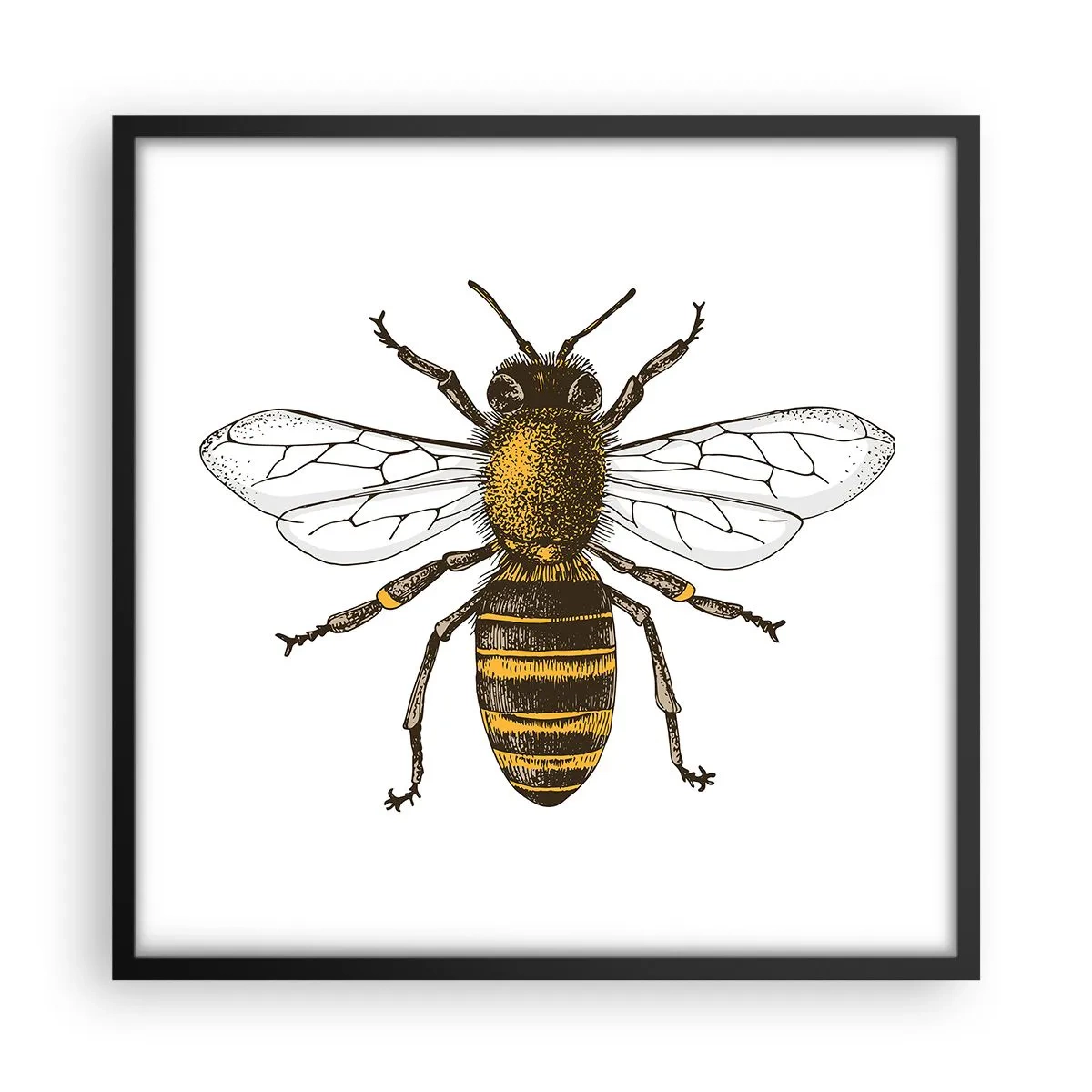 Poster in cornice nera - Bella e buona - 50x50 cm