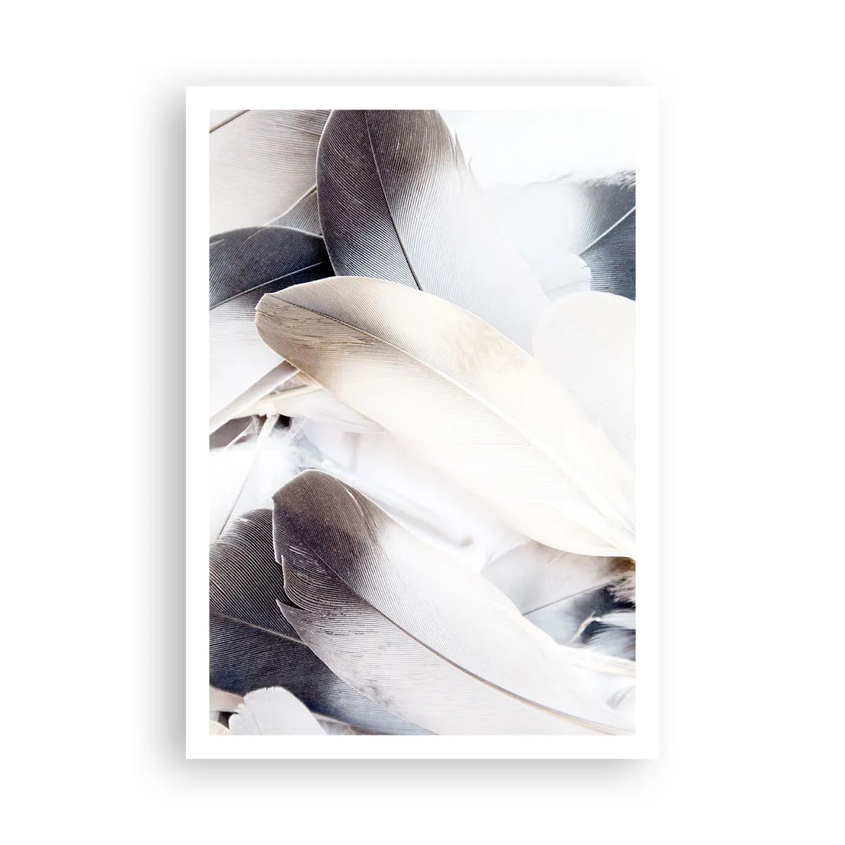 Poster - Quasi angeliche - 70x100 cm