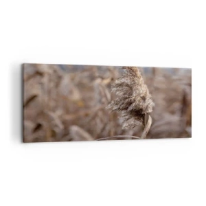 Quadro su tela - Stampe su Tela - Delicate erbe nelle tonalità del beige sullo sfondo della natura - 120x50cm - è tempo di volare col vento - Decorazione murale moderna per soggiorno e camera da letto ARTTOR