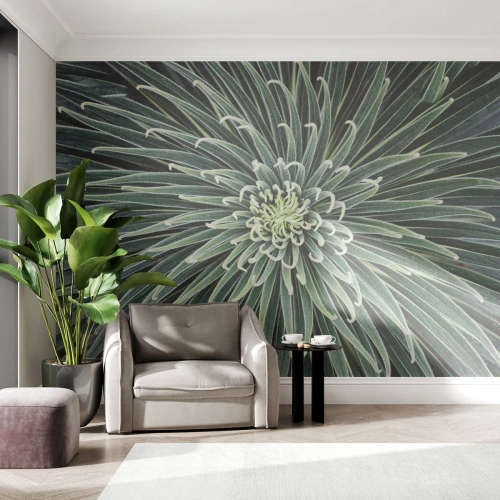 Fotomurali Premium Canvas - La nascita delle stelle - Fiore di agave, Agave, Fiori - 500x350 cm