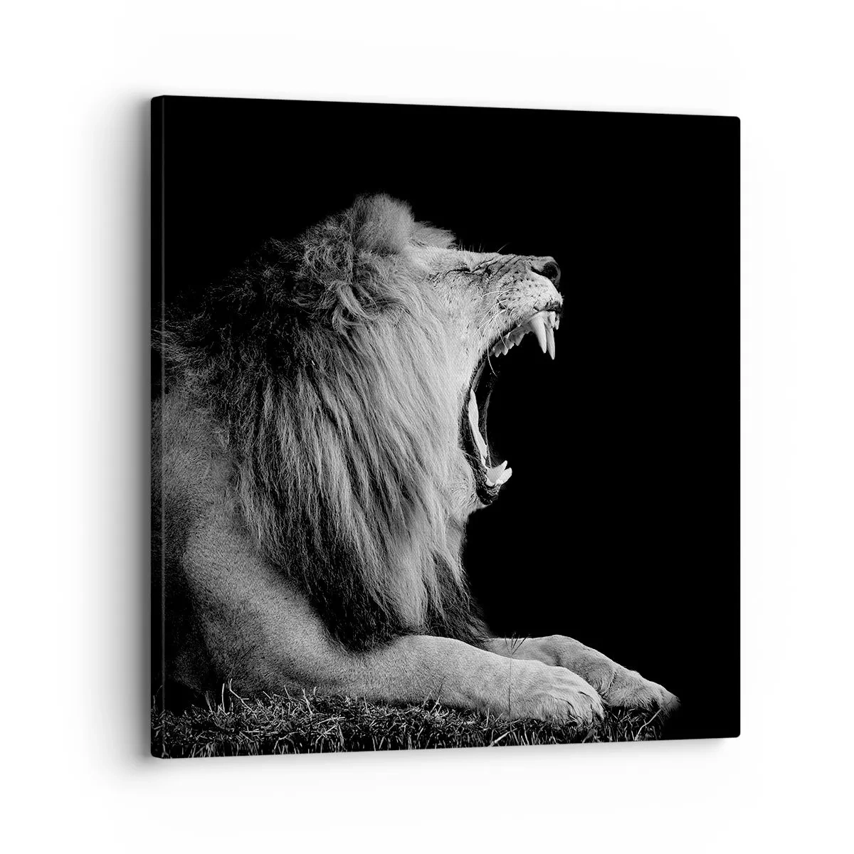 Quadro su tela - Stampe su Tela - Senza alcun dubbio - 30x30 cm
